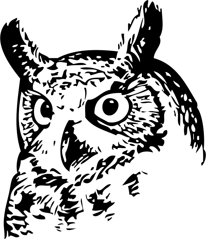 Black owl head.